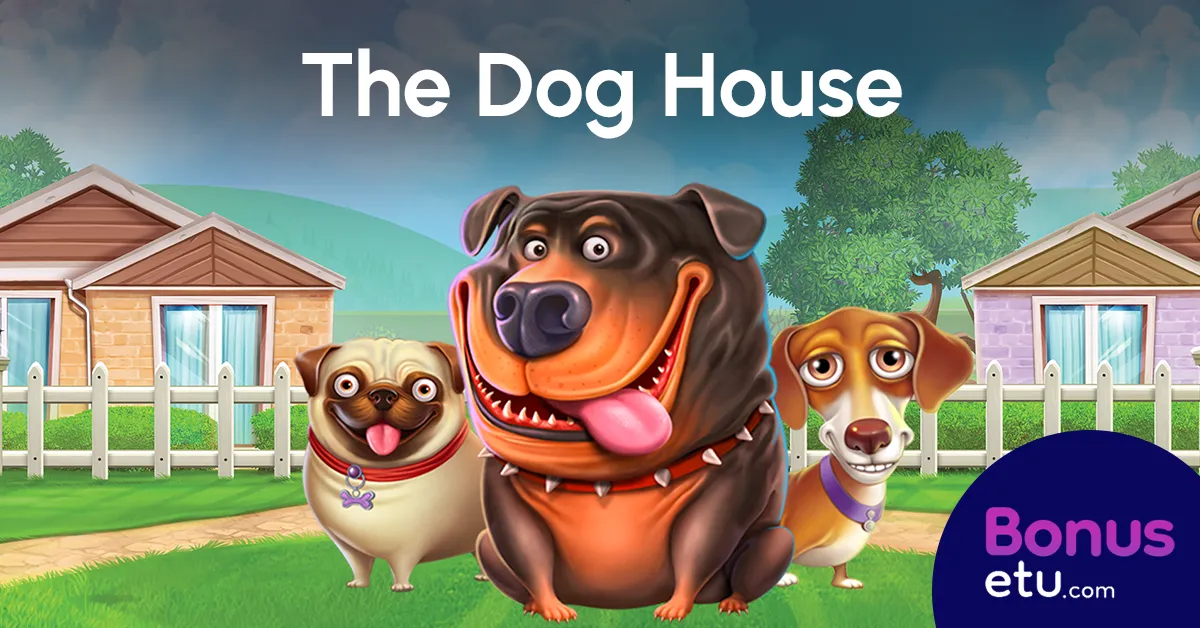 the dog house peliarvostelu